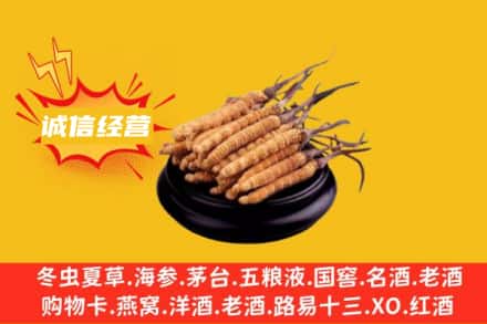 宁波市北仑回收冬虫夏草